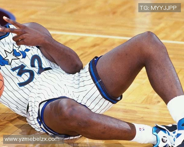 雄鹿队签约托里恩前锋，以年底薪加入提升板凳深度(雄鹿全队)